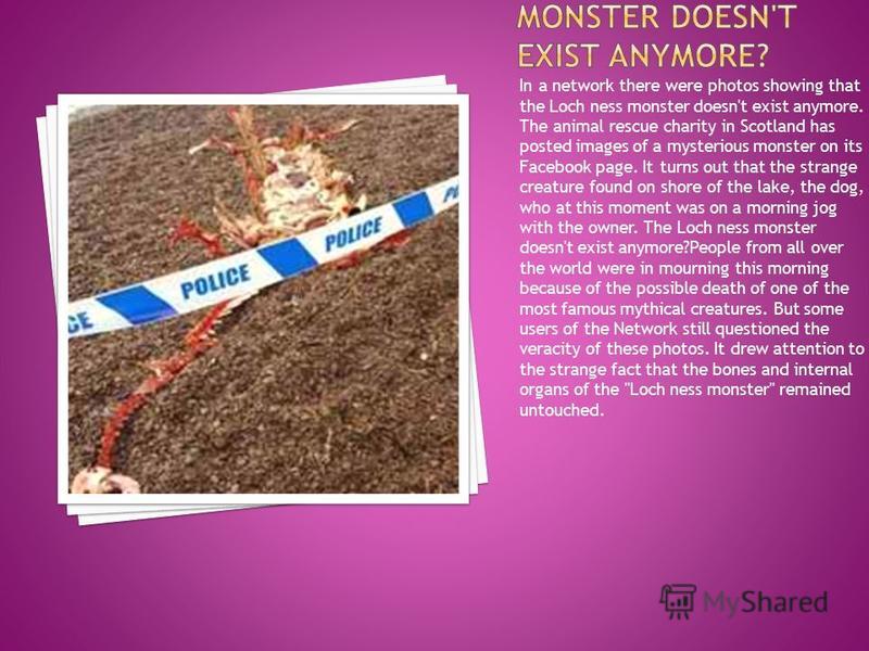 In a network there were photos showing that the Loch ness monster doesn't exist anymore. The animal rescue charity in Scotland has posted images of a mysterious monster on its Facebook page. It turns out that the strange creature found on shore of th