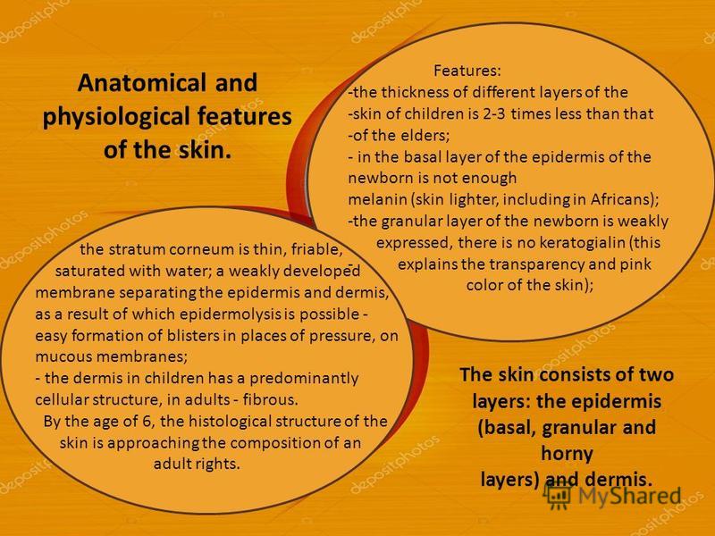 Anatomical and physiological features of the skin. The skin consists of two layers: the epidermis (basal, granular and horny layers) and dermis. Features: -the thickness of different layers of the -skin of children is 2-3 times less than that -of the