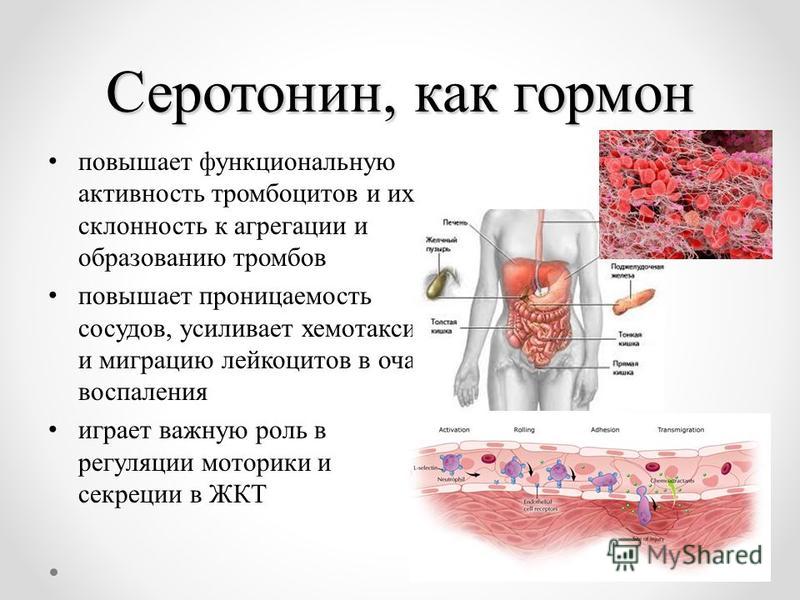 Реферат: Cодержание серотонина в плазме крови и тромбоцитах и показатели захвата серотонина тромбоцитами