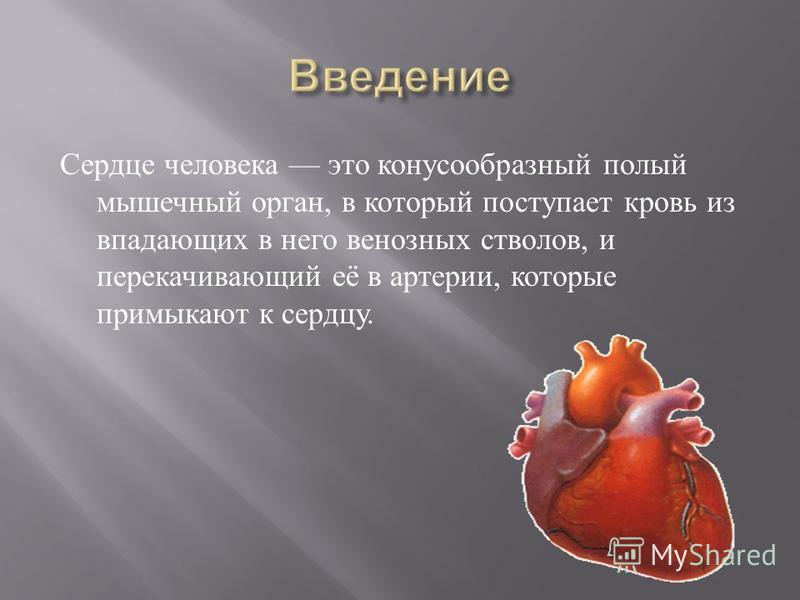 Сердце человека это конусообразный полый мышечный орган, в который поступает кровь из впадающих в него венозных стволов, и перекачивающий её в артерии, которые примыкают к сердцу.