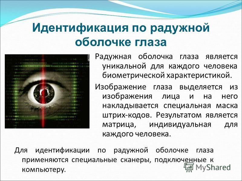 Идентификация по радужной оболочке глаза Для идентификации по радужной оболочке глаза применяются специальные сканеры, подключенные к компьютеру. Радужная оболочка глаза является уникальной для каждого человека биометрической характеристикой. Изображ