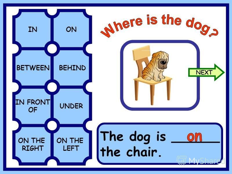 BETWEENBEHIND INON IN FRONT OF UNDER ON THE RIGHT ON THE LEFT The dog is ______ the chair. NEXT