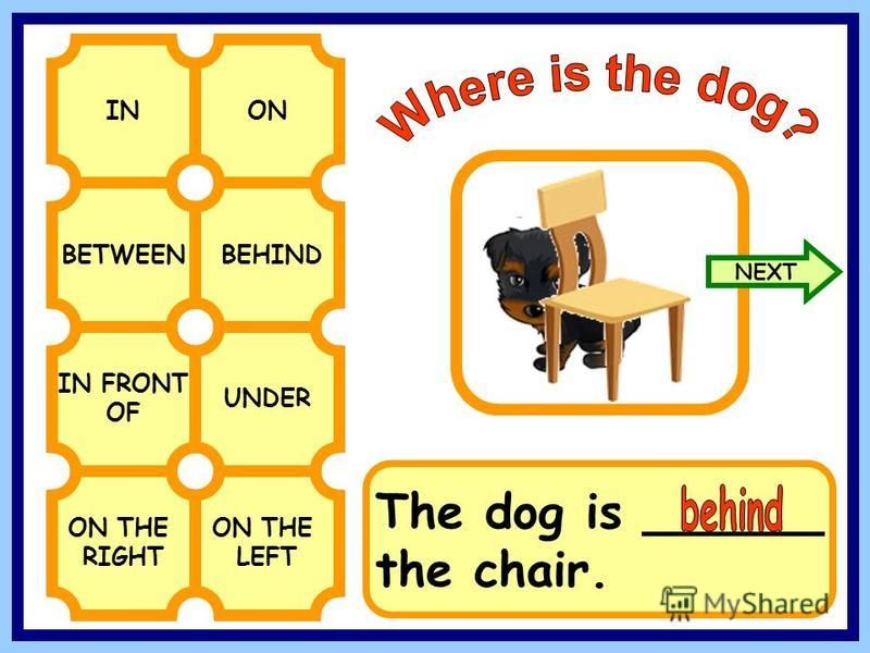 BETWEENBEHIND INON IN FRONT OF UNDER ON THE RIGHT ON THE LEFT The dog is ______ the chair. NEXT