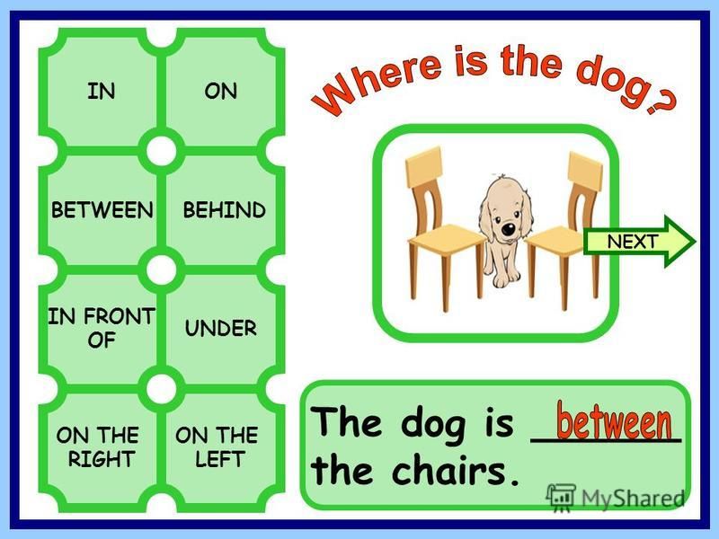 BETWEENBEHIND INON IN FRONT OF UNDER ON THE RIGHT ON THE LEFT The dog is ______ the chairs. NEXT