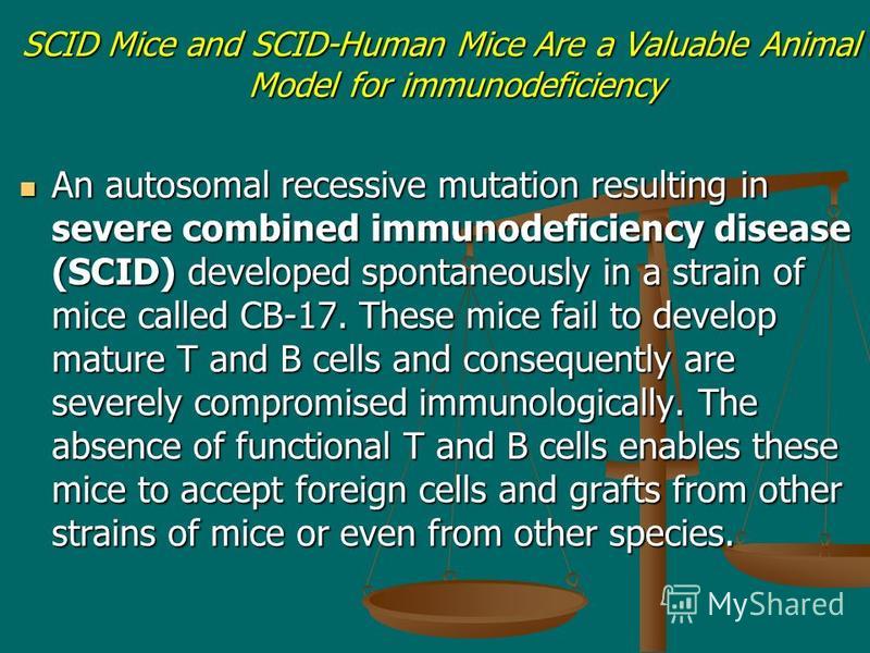 SCID Mice and SCID-Human Mice Are a Valuable Animal Model for immunodeficiency An autosomal recessive mutation resulting in severe combined immunodeficiency disease (SCID) developed spontaneously in a strain of mice called CB-17. These mice fail to d
