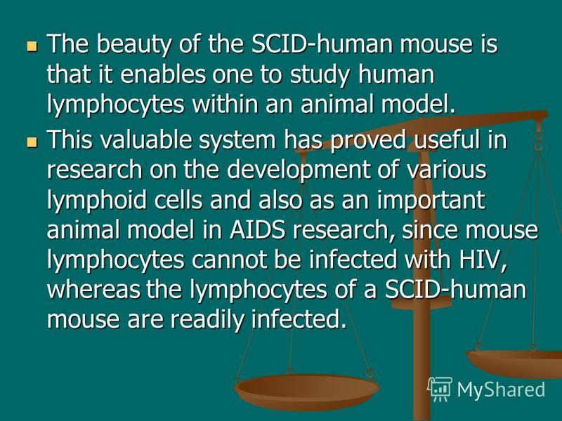 The beauty of the SCID-human mouse is that it enables one to study human lymphocytes within an animal model. The beauty of the SCID-human mouse is that it enables one to study human lymphocytes within an animal model. This valuable system has proved 