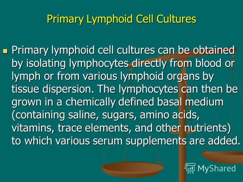 Primary Lymphoid Cell Cultures Primary lymphoid cell cultures can be obtained by isolating lymphocytes directly from blood or lymph or from various lymphoid organs by tissue dispersion. The lymphocytes can then be grown in a chemically defined basal 