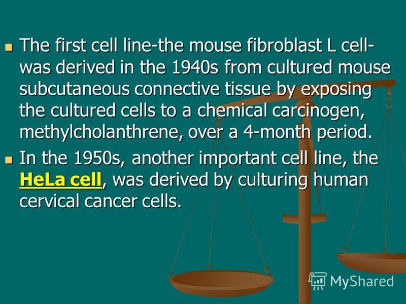 The first cell line-the mouse fibroblast L cell- was derived in the 1940s from cultured mouse subcutaneous connective tissue by exposing the cultured cells to a chemical carcinogen, methylcholanthrene, over a 4-month period. The first cell line-the m