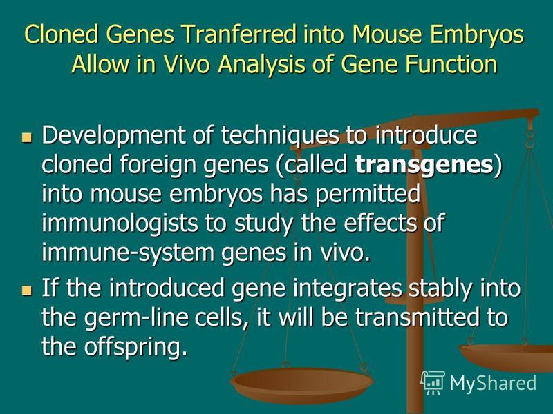 Cloned Genes Tranferred into Mouse Embryos Allow in Vivo Analysis of Gene Function Development of techniques to introduce cloned foreign genes (called transgenes) into mouse embryos has permitted immunologists to study the effects of immune-system ge