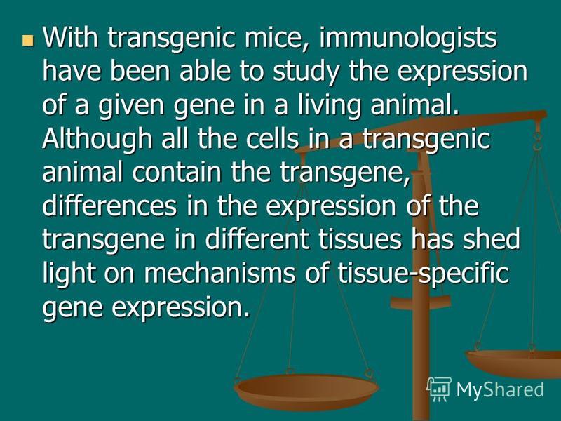 With transgenic mice, immunologists have been able to study the expression of a given gene in a living animal. Although all the cells in a transgenic animal contain the transgene, differences in the expression of the transgene in different tissues ha
