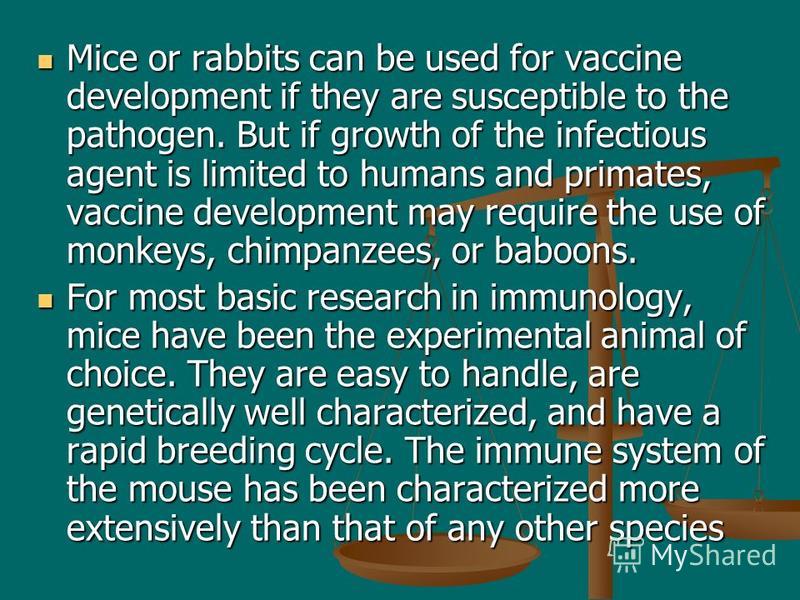 Mice or rabbits can be used for vaccine development if they are susceptible to the pathogen. But if growth of the infectious agent is limited to humans and primates, vaccine development may require the use of monkeys, chimpanzees, or baboons. Mice or