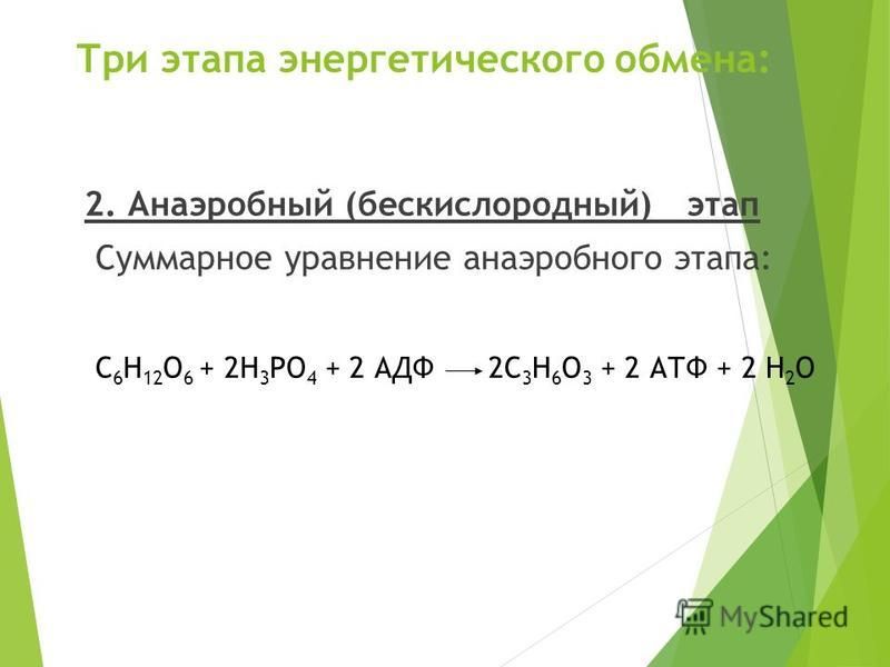 Три этапа энергетического обмена: 2. Анаэробный (бескислородный) этап Суммарное уравнение анаэробного этапа: С 6 Н 12 О 6 + 2Н 3 РО 4 + 2 АДФ 2С 3 Н 6 О 3 + 2 АТФ + 2 Н 2 О