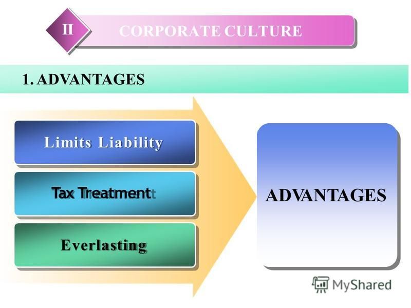 CORPORATE CULTURE II 1. ADVANTAGES Limits Liability Tax Treatment Everlasting ADVANTAGES