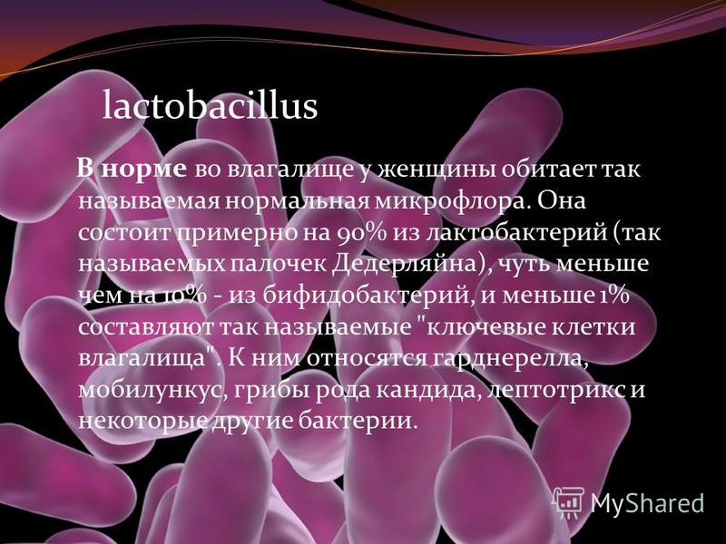 lactobacillus В норме во влагалище у женщины обитает так называемая нормальная микрофлора. Она состоит примерно на 90% из лактобактерий (так называемых палочек Дедерляйна), чуть меньше чем на 10% - из бифидобактерий, и меньше 1% составляют так называ