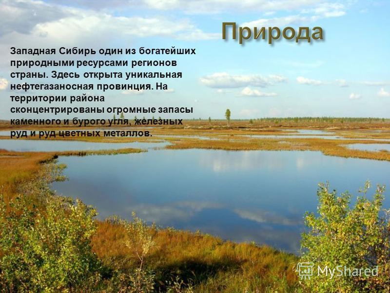Западная Сибирь один из богатейших природными ресурсами регионов страны. Здесь открыта уникальная нефтегазоносная провинция. На территории района сконцентрированы огромные запасы каменного и бурого угля, железных руд и руд цветных металлов.