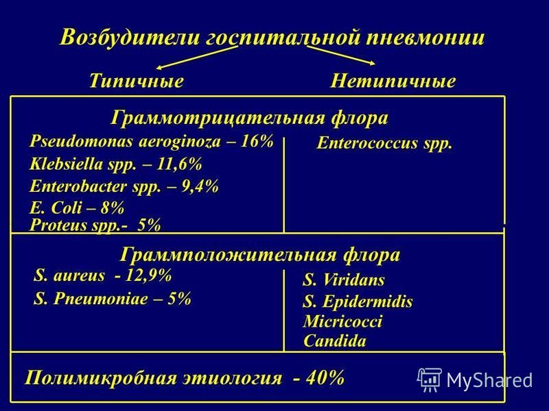 Возбудители госпитальной пневмонии Граммотрицательная флора Pseudomonas aeroginoza – 16% Klebsiella spp. – 11,6% Enterobacter spp. – 9,4% E. Coli – 8% Proteus spp.- 5% Граммположительная флора S. aureus - 12,9% S. Pneumoniae – 5% Полимикробная этиоло