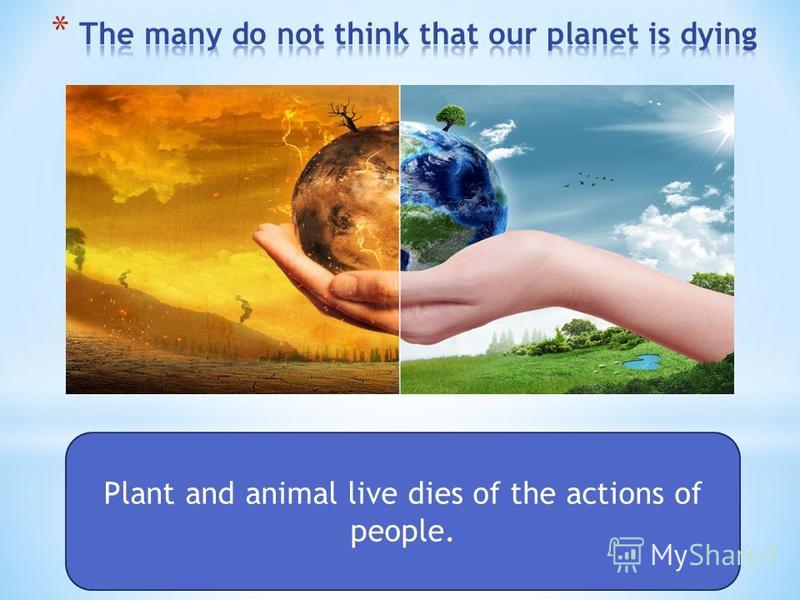 Plant and animal live dies of the actions of people.