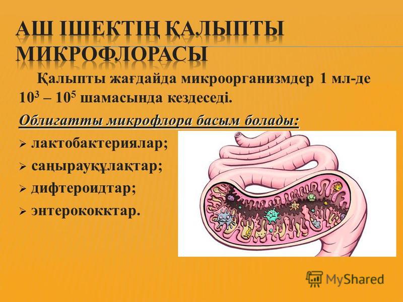 Қальпыты жағдайда микроорганизмдер 1 мл-де 10 3 – 10 5 шамасында кездеседі. Облигатты микрофлора босым болады: лактобактериялар; саңырауқұлақтар; дифтероидтар; энтерококк тар.