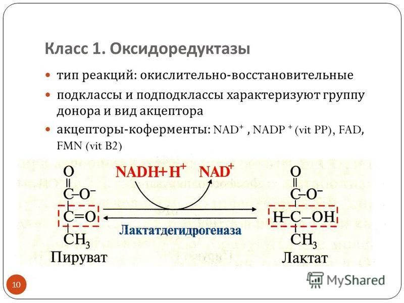 Класс 1. Оксидоредуктазы тип реакций : окислительно - восстановительные подклассы и под подклассы характеризуют группу донора и вид акцептора акцепторы - коферменты : NAD +, NADP + (vit PP), FAD, FMN (vit B2) 10