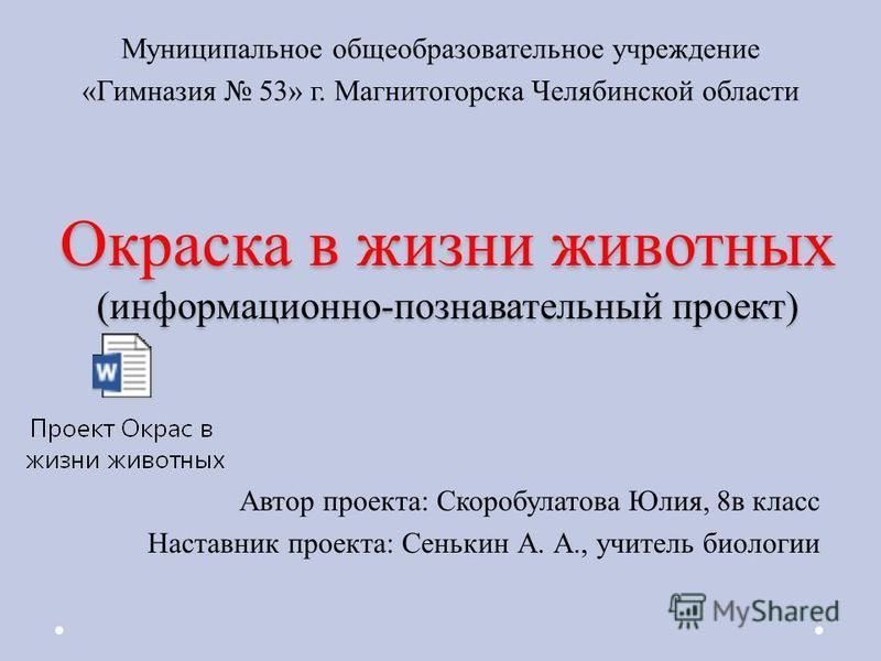 Информационно познавательный проект по теме: "Две стороны одной медали"
