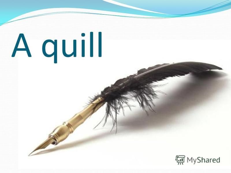 A quill