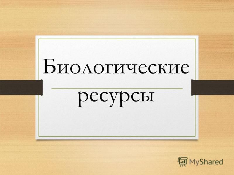 Курсовая работа: Биологические ресурсы и перспективы их использования