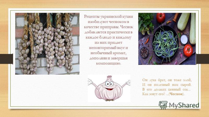 Рецепты украинской кухни изобилуют чесноком в качестве приправы. Чеснок добавляется практически в каждое блюдо и каждому из них придает неповторимый вкус и необычный аромат, дополняя и завершая композицию. Он лука брат, он тоже злой, И он полезный на