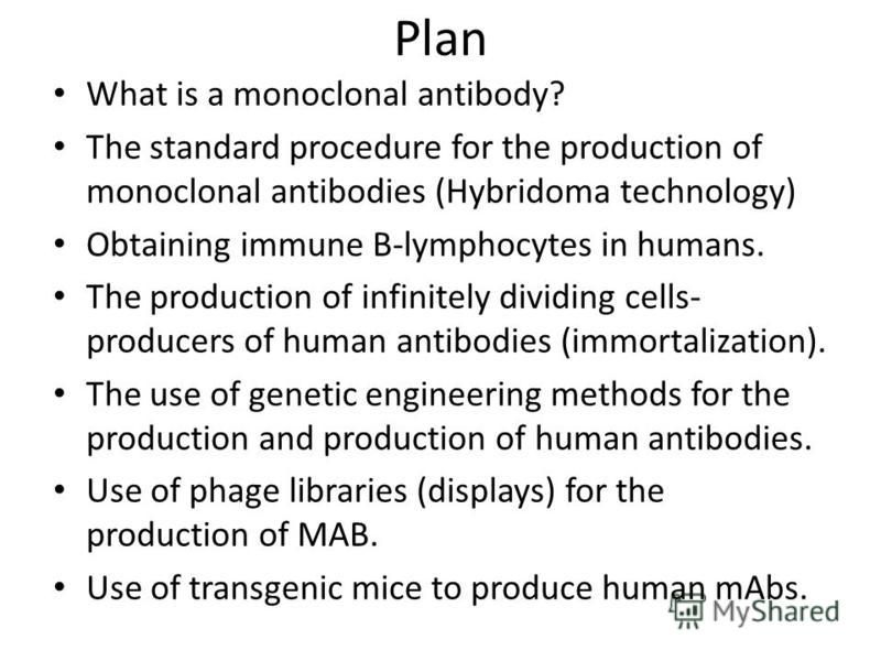 Plan What is a monoclonal antibody? The standard procedure for the production of monoclonal antibodies (Hybridoma technology) Obtaining immune B-lymphocytes in humans. The production of infinitely dividing cells- producers of human antibodies (immort