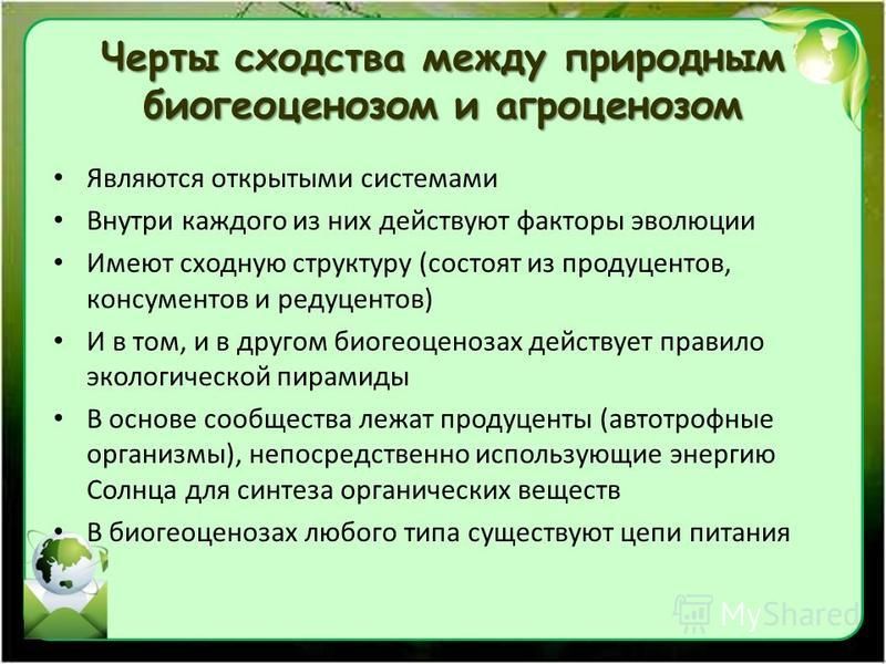 Характеристика Биогеоценоза И Экосистем Реферат Характеристика Биогеоценоза И Экосистем Реферат