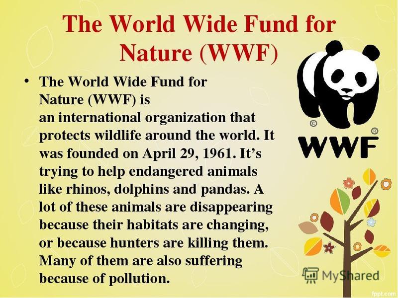 Wwf презентация на английском