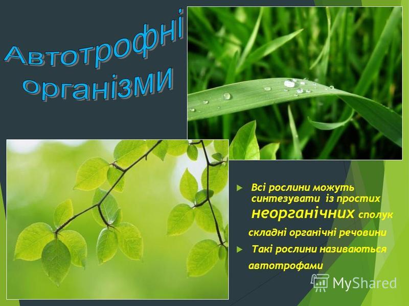 Всі рослини можуть синтезувати із простих неорганічних сполук складні органічні речовини Такі рослини називаються автотрофами