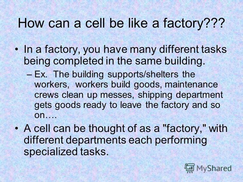How can a cell be like a factory??? In a factory, you have many different tasks being completed in the same building. –Ex. The building supports/shelters the workers, workers build goods, maintenance crews clean up messes, shipping department gets go