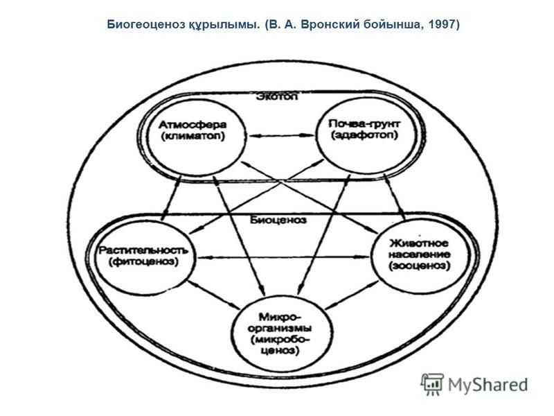 Биогеоценоз құрылымы. (В. А. Вронский бойынша, 1997)