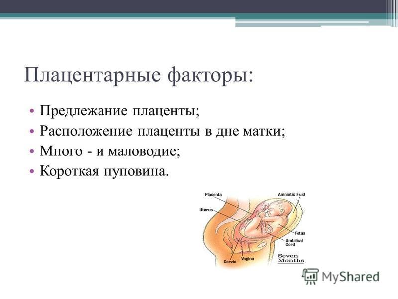 Плацентарные факторы: Предлежание плаценты; Расположение плаценты в дне матки; Много - и маловодие; Короткая пуповина.