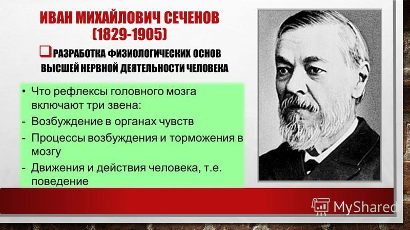 ИВАН МИХАЙЛОВИЧ СЕЧЕНОВ (1829-1905) РАЗРАБОТКА ФИЗИОЛОГИЧЕСКИХ ОСНОВ ВЫСШЕЙ НЕРВНОЙ ДЕЯТЕЛЬНОСТИ ЧЕЛОВЕКА