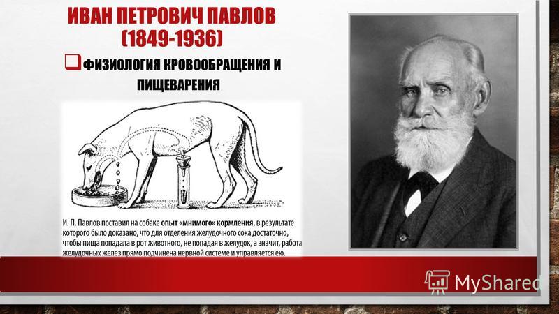 ИВАН ПЕТРОВИЧ ПАВЛОВ (1849-1936) ФИЗИОЛОГИЯ КРОВООБРАЩЕНИЯ И ПИЩЕВАРЕНИЯ