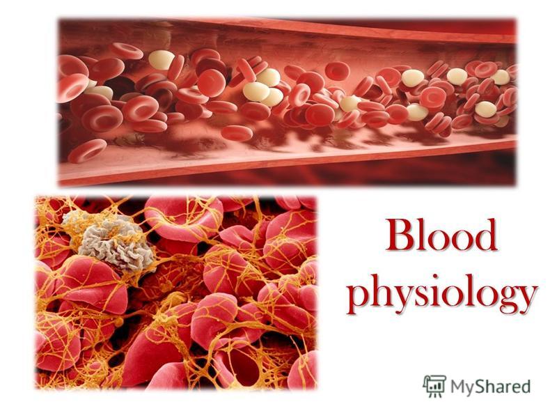 Blood physiology