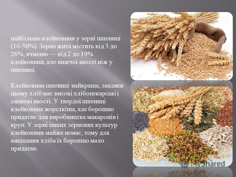 Зернові Зернобобові Культури Реферат Зернові Зернобобові Культури Реферат