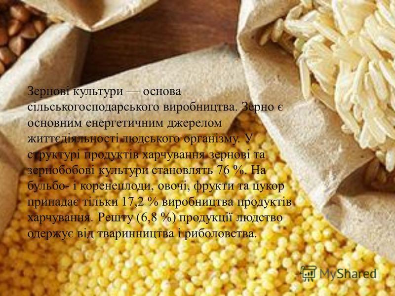 Зернові Зернобобові Культури Реферат Зернові Зернобобові Культури Реферат