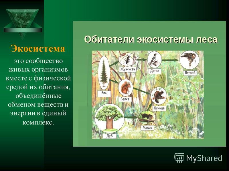 Экосистема это сообщество живых организмов вместе с физической средой их обитания, объединённые обменом веществ и энергии в единый комплекс.