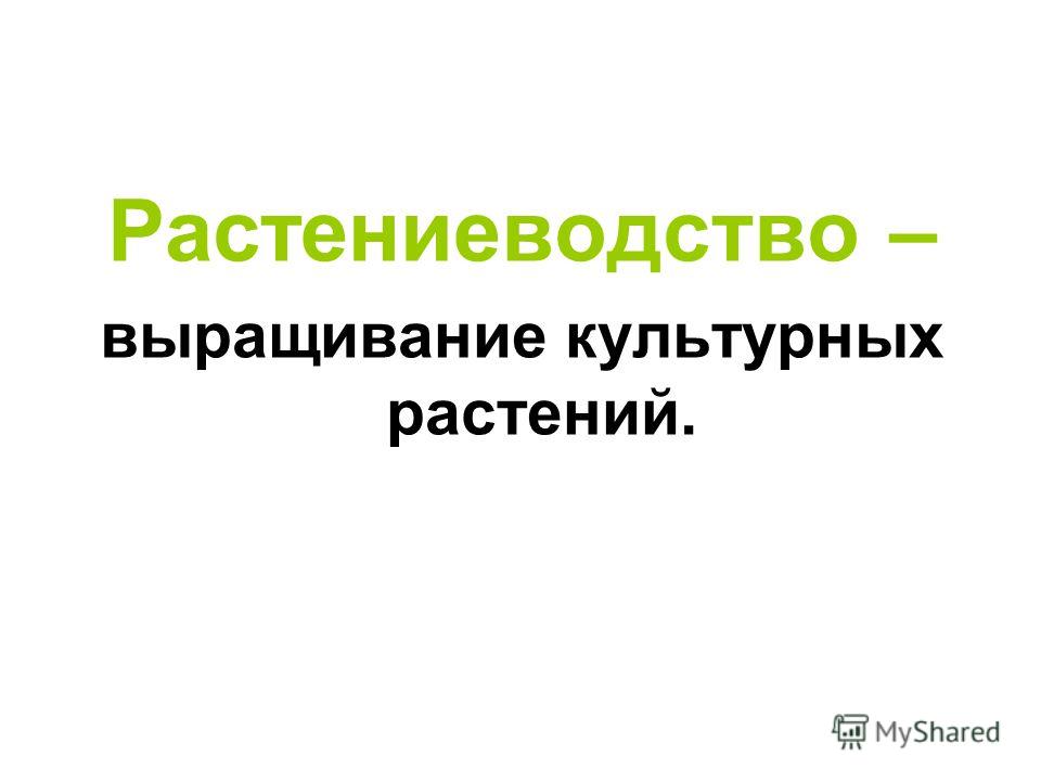 Культурные дикорастущие растения Культурные дикорастущие растения