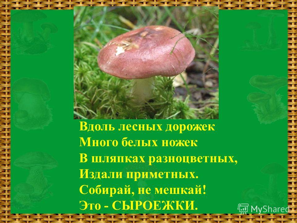 Лексус ЛС г., 4.3 литра, Всем доброго Купить Одежда для девочек оптом от производителя