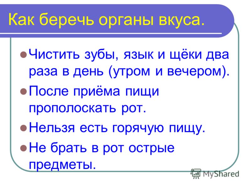 Русский язык программа 6 класса