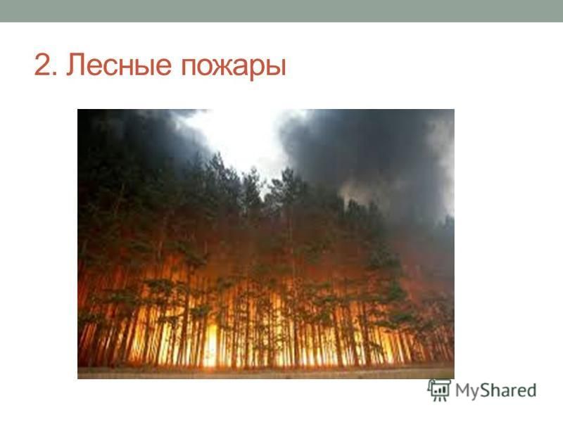 2. Лесные пожары