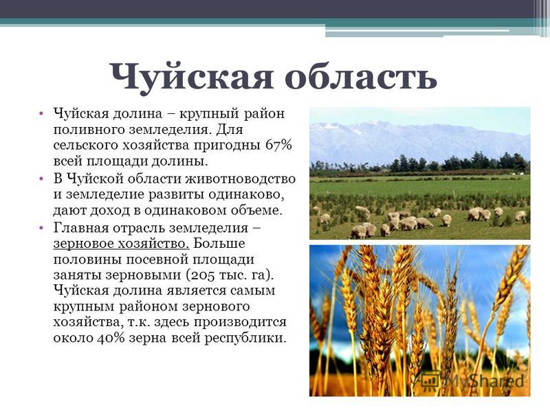 Реферат по теме Народное хозяйство Украины Реферат по теме Народное хозяйство Украины