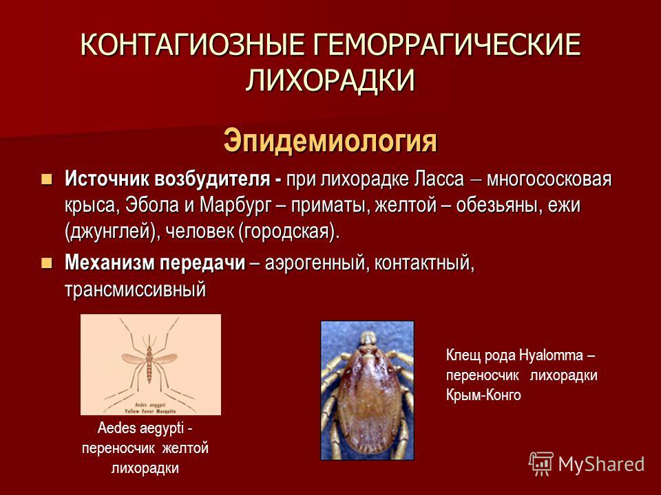 Ванночки для ногтей в домашних условиях, как правильно Бердяев Николай. Судьба России