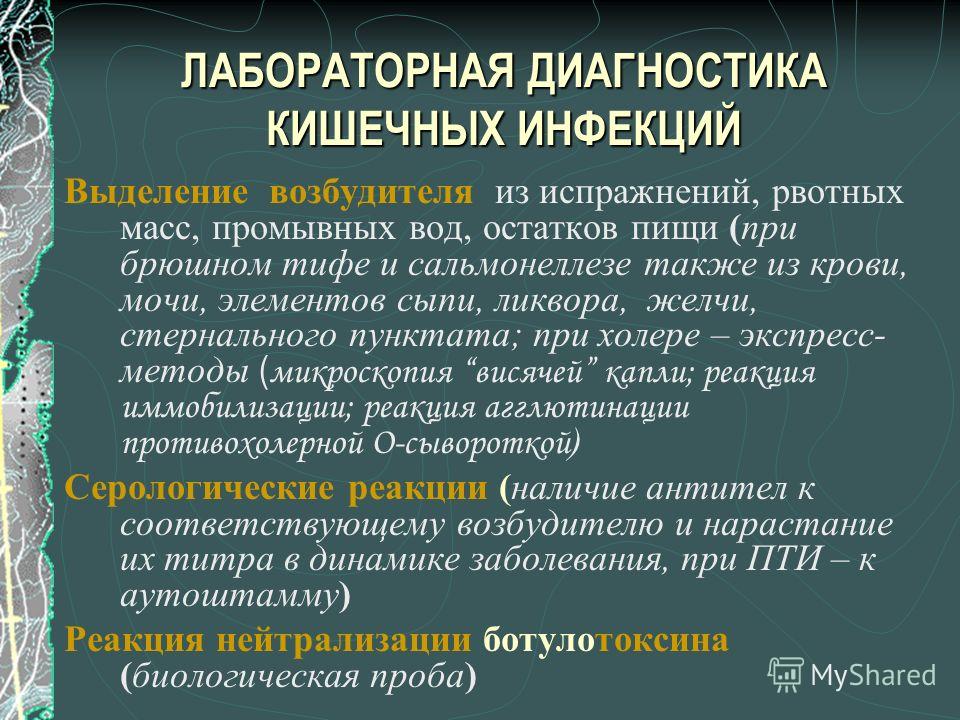 виды кишечных паразитов у человека виды кишечных паразитов у человека