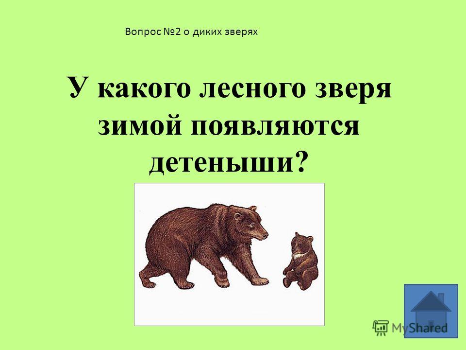 Алгебра 7 класс калягин