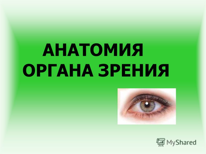 Почему на глазах разное зрение на
