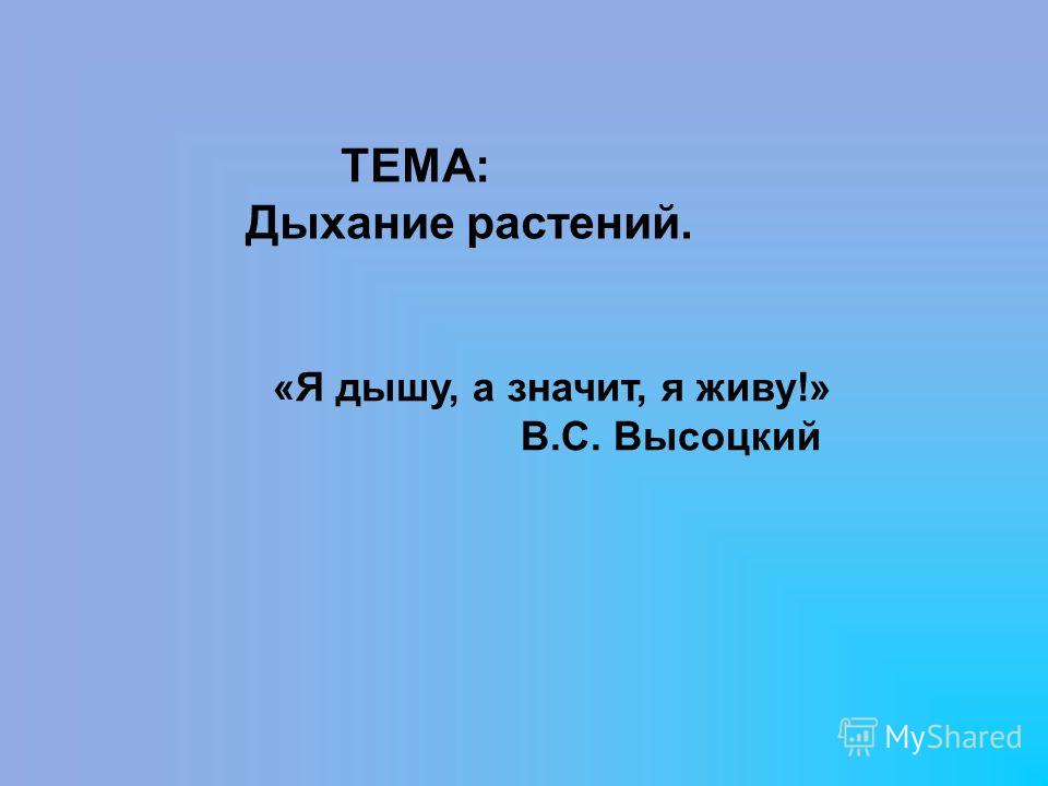Кольпоскопия Отзывы покупателей Как украсить купальник: 7 простых и эффектных способов